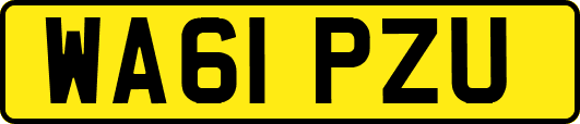 WA61PZU