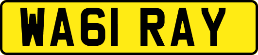 WA61RAY