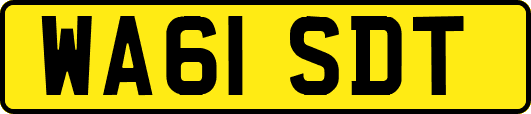 WA61SDT