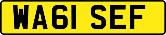 WA61SEF