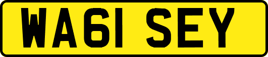 WA61SEY