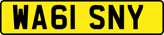 WA61SNY