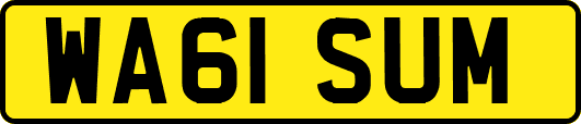 WA61SUM