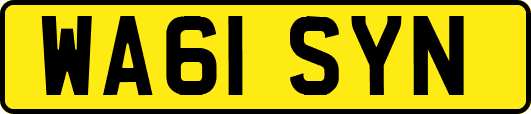 WA61SYN