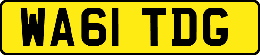 WA61TDG