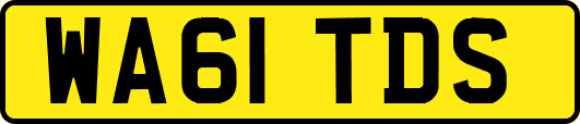 WA61TDS