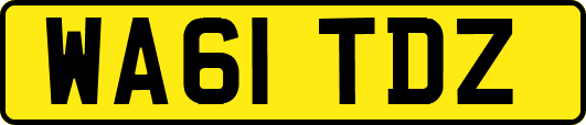 WA61TDZ