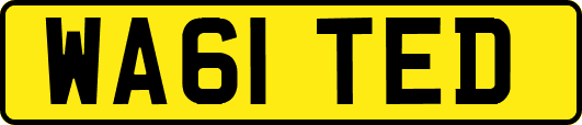 WA61TED