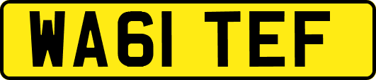 WA61TEF