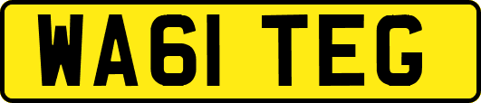 WA61TEG