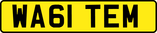 WA61TEM