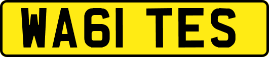 WA61TES