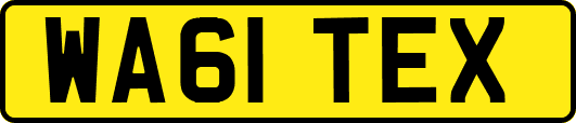 WA61TEX