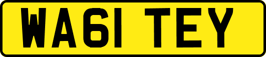 WA61TEY