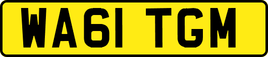 WA61TGM