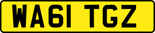 WA61TGZ