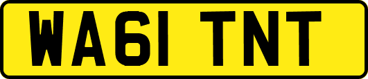 WA61TNT