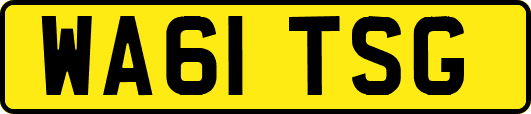 WA61TSG