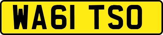WA61TSO