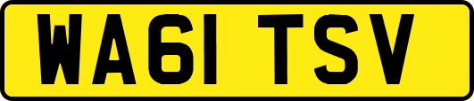 WA61TSV