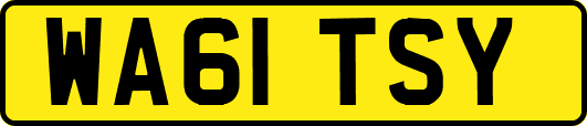 WA61TSY
