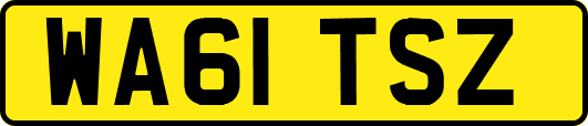 WA61TSZ