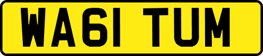 WA61TUM