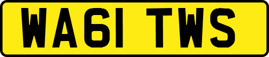 WA61TWS
