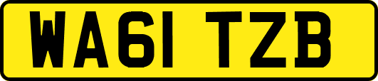 WA61TZB
