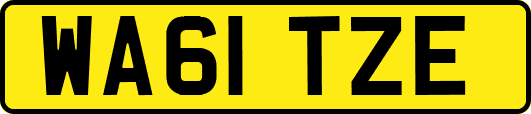 WA61TZE