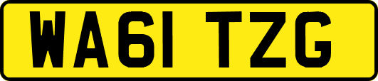 WA61TZG