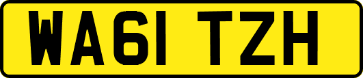 WA61TZH
