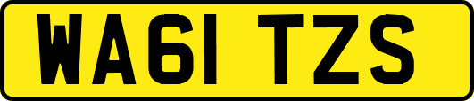 WA61TZS