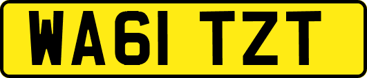 WA61TZT