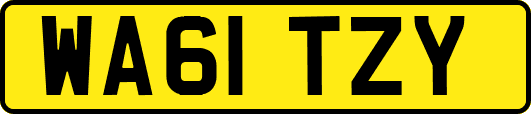 WA61TZY