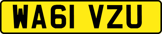 WA61VZU