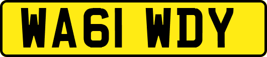 WA61WDY