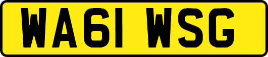WA61WSG