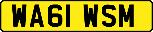 WA61WSM