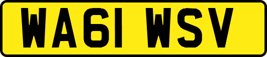 WA61WSV