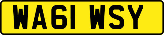 WA61WSY