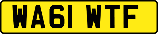 WA61WTF