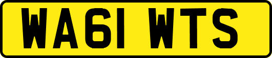 WA61WTS