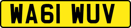 WA61WUV
