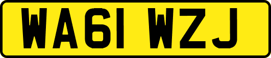 WA61WZJ