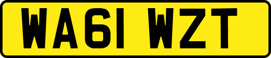 WA61WZT