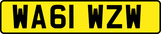 WA61WZW