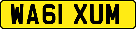 WA61XUM