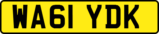 WA61YDK