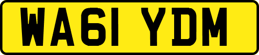 WA61YDM